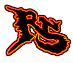 RICHSKATER logo