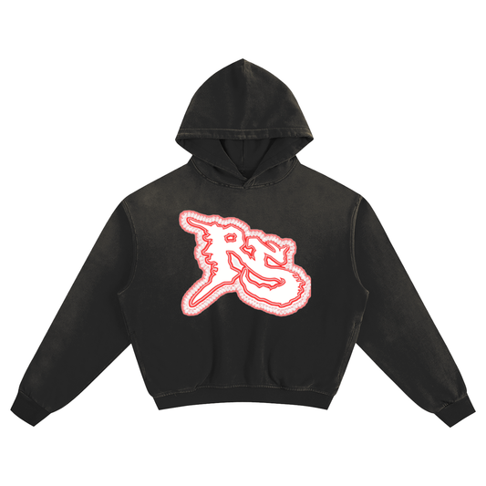 Graffiti RS Cropped Hoodie
